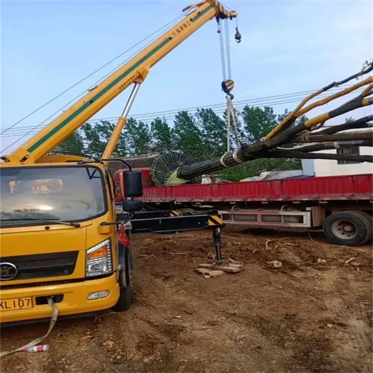 宜城100吨吊车租赁费用怎么算？3大关键因素+省钱技巧全解析